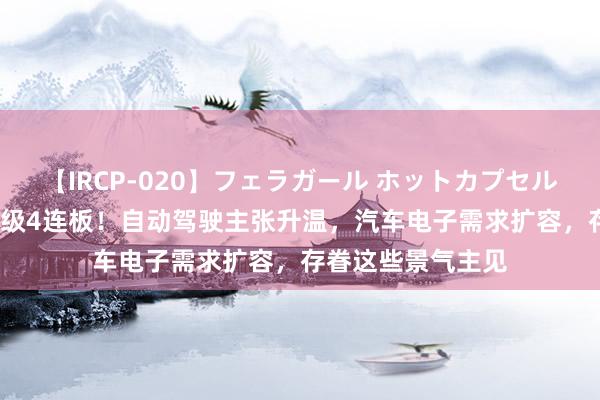 【IRCP-020】フェラガール ホットカプセル5 “前连板牛”晋级4连板！自动驾驶主张升温，汽车电子需求扩容，存眷这些景气主见