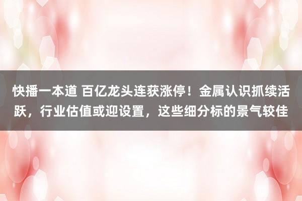 快播一本道 百亿龙头连获涨停！金属认识抓续活跃，行业估值或迎设置，这些细分标的景气较佳