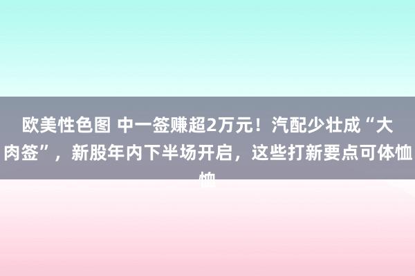 欧美性色图 中一签赚超2万元！汽配少壮成“大肉签”，新股年内下半场开启，这些打新要点可体恤