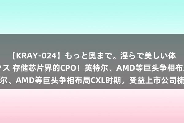 【KRAY-024】もっと奥まで。淫らで美しい体が求める熱い快感セックス 存储芯片界的CPO！英特尔、AMD等巨头争相布局CXL时期，受益上市公司梳理