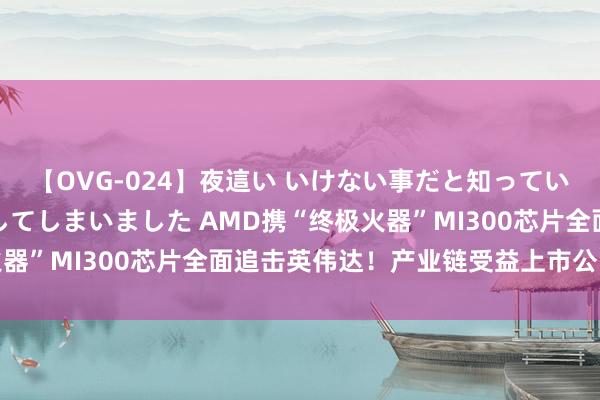 【OVG-024】夜這い いけない事だと知っていたけど生中出しまで許してしまいました AMD携“终极火器”MI300芯片全面追击英伟达！产业链受益上市公司一览