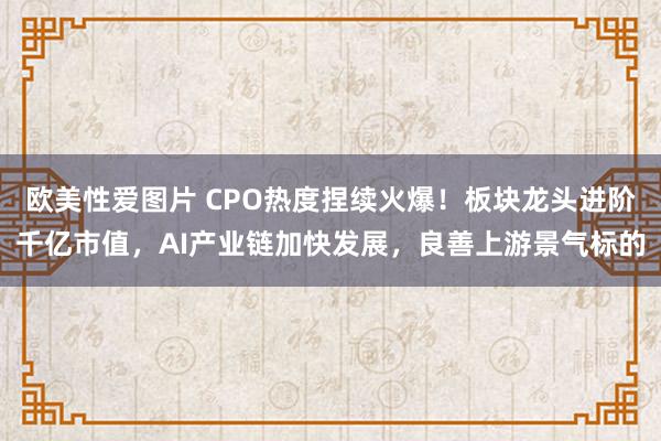 欧美性爱图片 CPO热度捏续火爆！板块龙头进阶千亿市值，AI产业链加快发展，良善上游景气标的