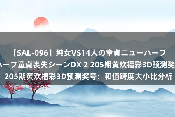 【SAL-096】純女VS14人の童貞ニューハーフ 二度と見れないニューハーフ童貞喪失シーンDX 2 205期黄欢福彩3D预测奖号：和值跨度大小比分析