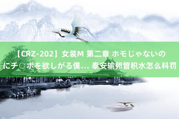 【CRZ-202】女装M 第二章 ホモじゃないのにチ○ポを欲しがる僕… 泰安输卵管积水怎么科罚