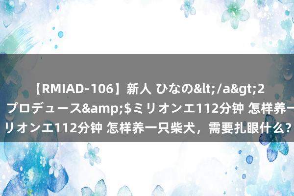 【RMIAD-106】新人 ひなの</a>2008-06-04ケイ・エム・プロデュース&$ミリオンエ112分钟 怎样养一只柴犬，需要扎眼什么？