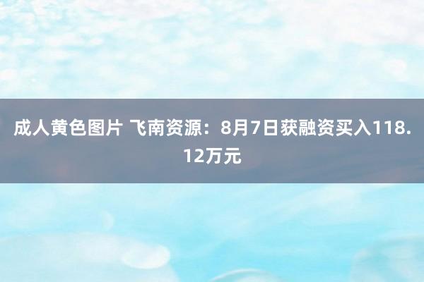 成人黄色图片 飞南资源：8月7日获融资买入118.12万元