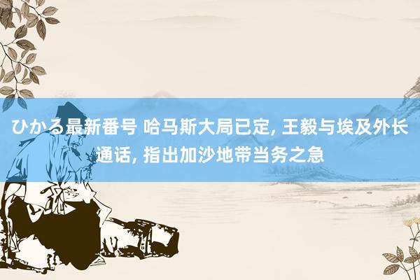 ひかる最新番号 哈马斯大局已定, 王毅与埃及外长通话, 指出加沙地带当务之急