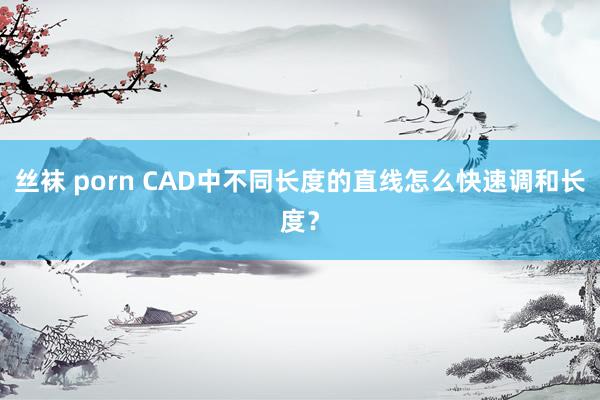 丝袜 porn CAD中不同长度的直线怎么快速调和长度？