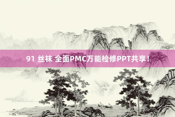 91 丝袜 全面PMC万能检修PPT共享！