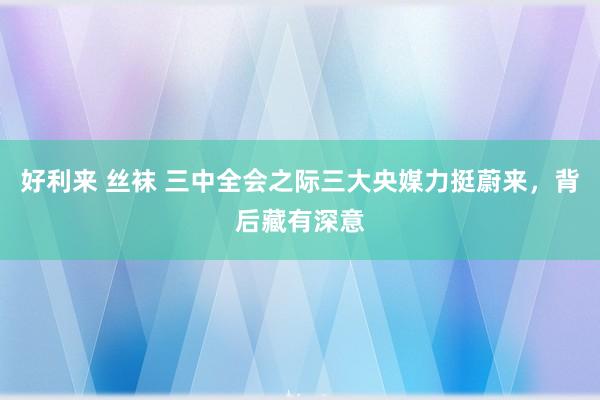 好利来 丝袜 三中全会之际三大央媒力挺蔚来，背后藏有深意