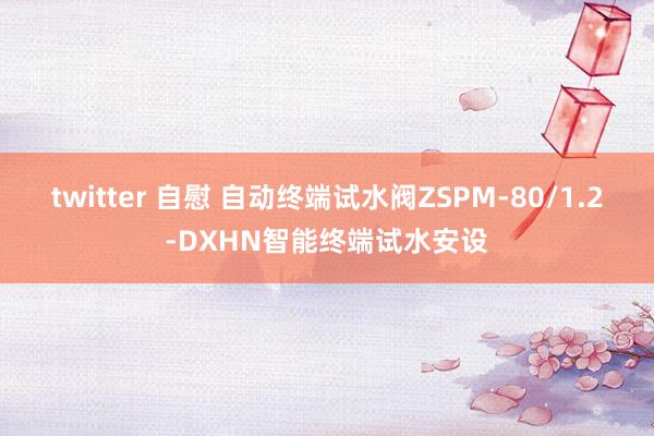 twitter 自慰 自动终端试水阀ZSPM-80/1.2-DXHN智能终端试水安设