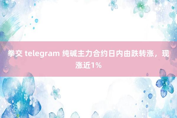 拳交 telegram 纯碱主力合约日内由跌转涨，现涨近1%