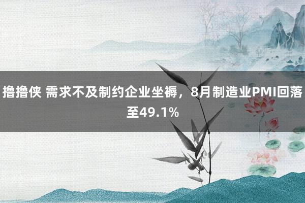 撸撸侠 需求不及制约企业坐褥，8月制造业PMI回落至49.1%