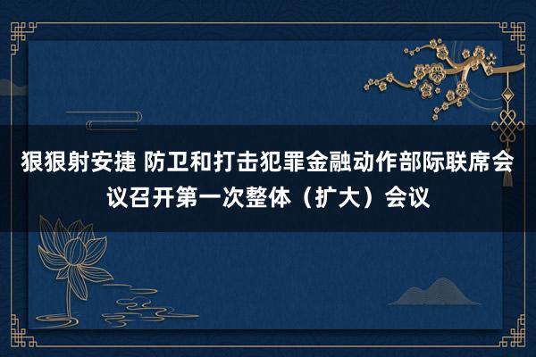 狠狠射安捷 防卫和打击犯罪金融动作部际联席会议召开第一次整体（扩大）会议