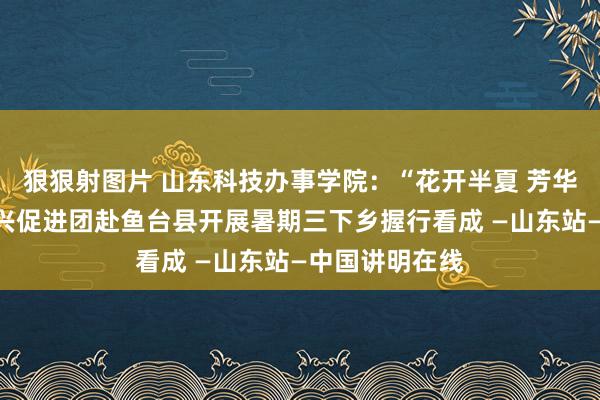 狠狠射图片 山东科技办事学院：“花开半夏 芳华筑梦”乡村振兴促进团赴鱼台县开展暑期三下乡握行看成 —山东站—中国讲明在线